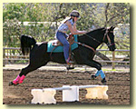 Gymkhana Time!